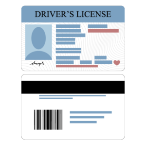 Drivers License