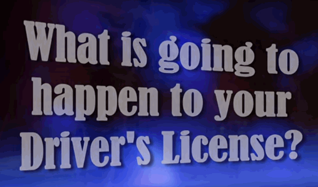 Your Drivers License